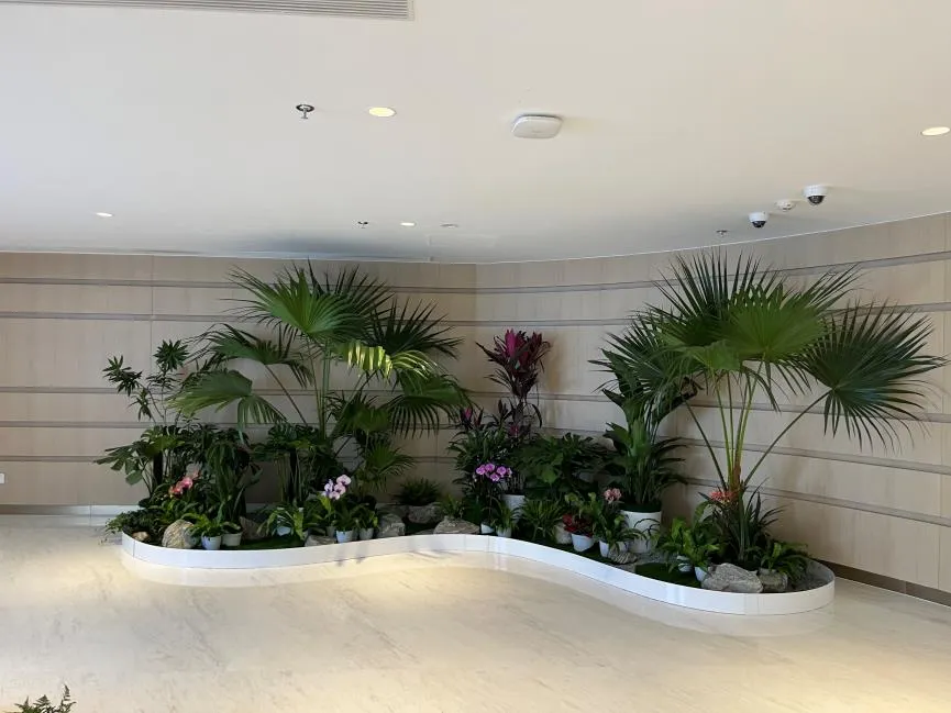 领略宁波奉化绿植出租公司的绿色魅力